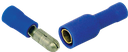 42025