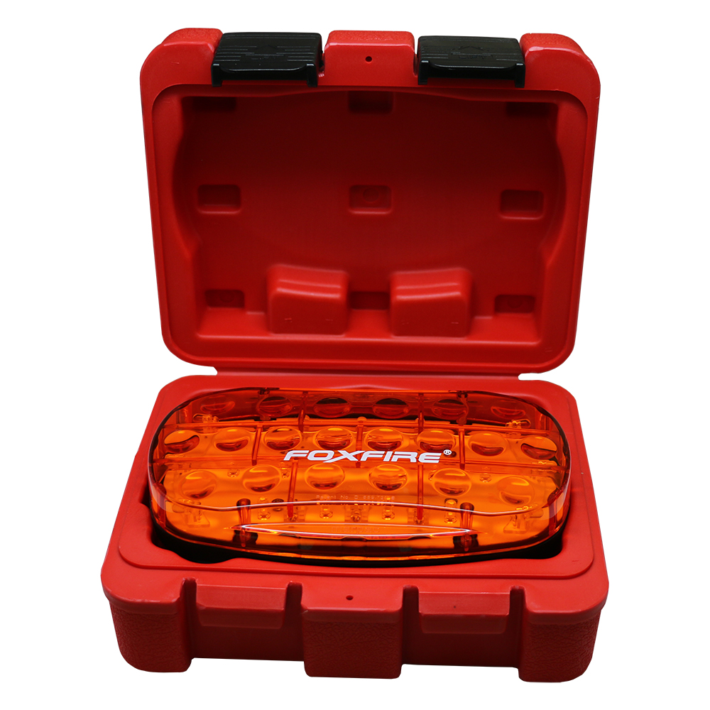 LOGGER_LITE_CASE