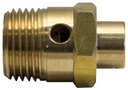 Safety Valve