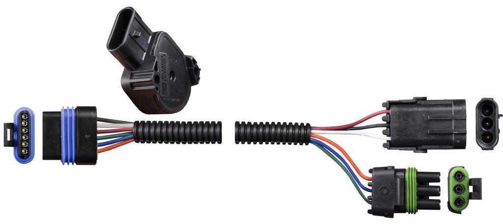Sensor & Harness