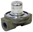 Pres Prot Valve - W/Filter