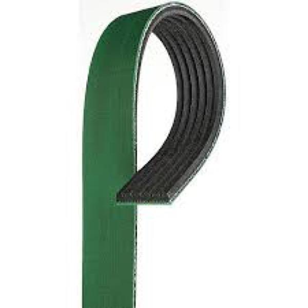 Serpentine Belt