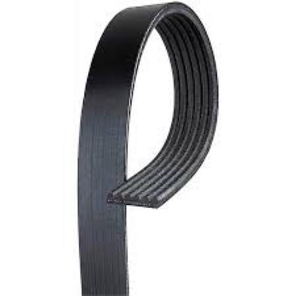 Serpentine Belt