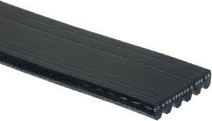 Serpentine Belt
