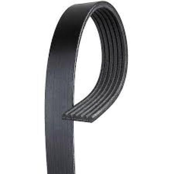 Serpentine Belt