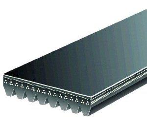 Serpentine Belt