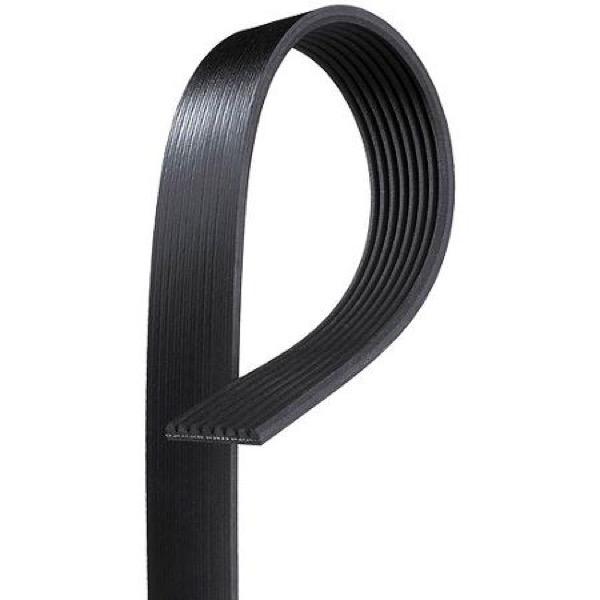 Serpentine Belt