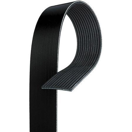 Serpentine Belt