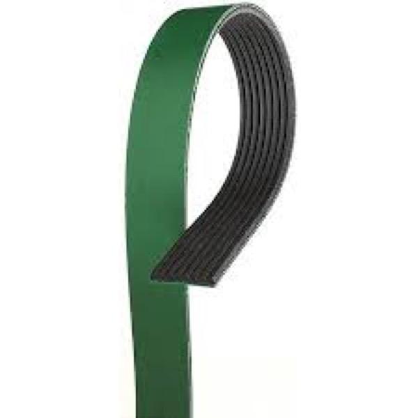 Serpentine Belt